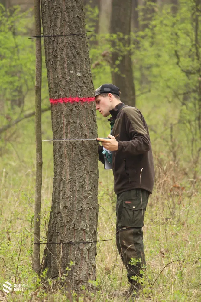 Sopron Média_4.webp